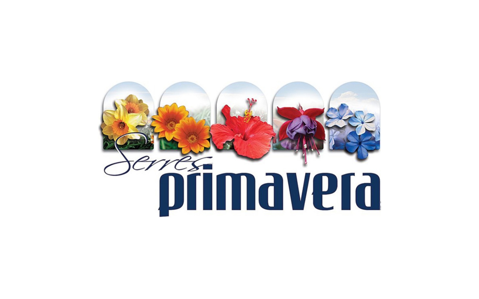 Félicitations à Serres Primavera pour sa vente